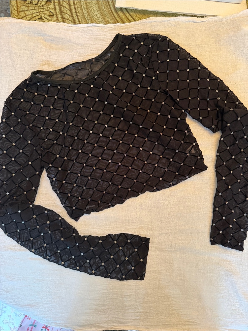 Sheer Black Long-Sleeve Crop Top